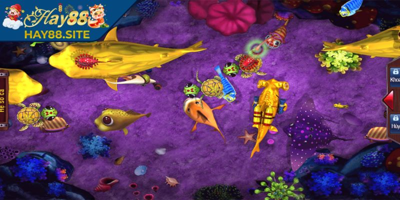 Săn boss đại dương giúp hội viên nhận thưởng phát tài lớn