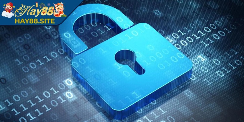 Hệ thống thu nhận dữ liệu mạch lạc rõ ràng