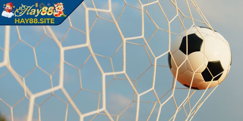 Kèo 1/2 Hay88 - Cách Soi Và Đặt Cược Chuẩn Xác Nhất 2 Cách tính lợi nhuận
