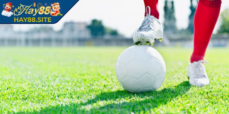 Kèo 1x2 Hay88 - Cách Tính Và Mẹo Đặt Chuẩn Xác Nhất 2 Công thức tính lợi nhuận của tỷ lệ 1x2