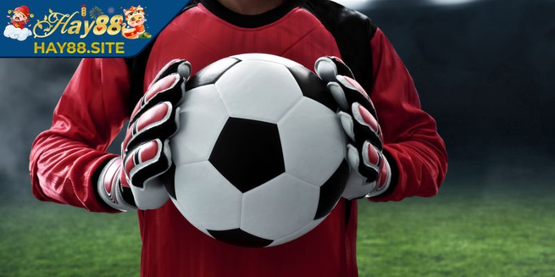 Kèo 1x2 Hay88 - Cách Tính Và Mẹo Đặt Chuẩn Xác Nhất 3 Phân tích phong độ kỹ càng để hạn chế rủi ro