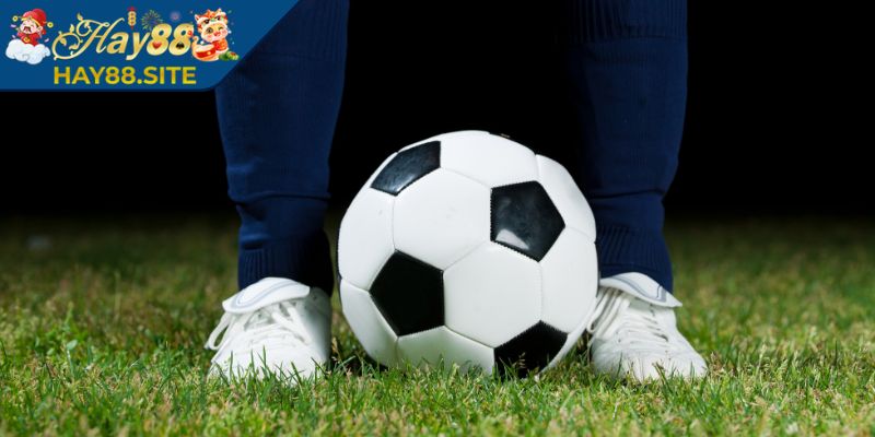 Kèo Chấp Trực Tiếp Hay88 - Cách Đọc Chuẩn Xác Nhất 3 Mẹo để đọc kèo chấp trực tiếp Hay88 hiệu quả nhất