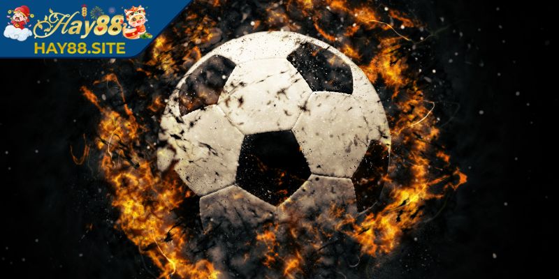 Kèo Châu Âu Hay88 - Hướng Dẫn Đặt Cược Hiệu Quả Nhất 2 Cách tính tiền thắng chuẩn xác