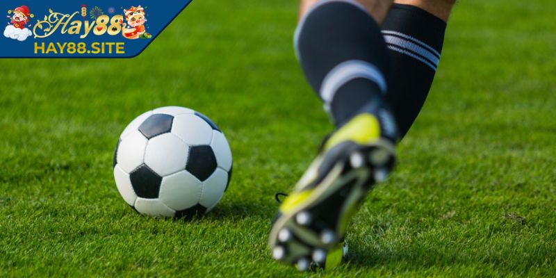 Kèo Châu Âu Hay88 - Hướng Dẫn Đặt Cược Hiệu Quả Nhất 3 Theo dõi biến động tỷ lệ trước giờ bóng lăn