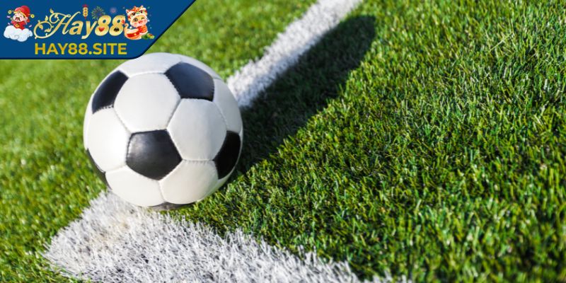 Kèo Handicap Hay88 - Cách Chơi Từ Cơ Bản Đến Nâng Cao 3 Kèo Handicap Hay88 chấp 1 trái