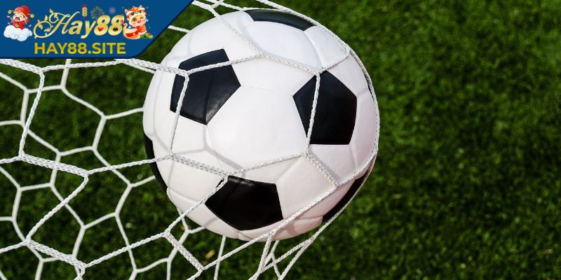 Kèo Handicap Hay88 - Cách Chơi Từ Cơ Bản Đến Nâng Cao 1 Giới thiệu kèo Handicap Hay88