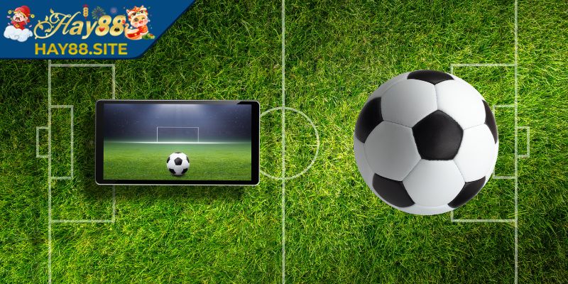 Kèo Nhà Cái Hay88 - Hướng Dẫn Chi Tiết Cho Người Mới 2 Kèo Châu Âu – Tỷ lệ đơn giản nhưng tỷ lệ thưởng cao