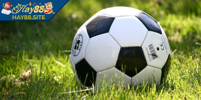 Kèo Sớm Hay88 - Hướng Dẫn Cách Soi Tỷ Lệ Sớm Chuẩn 1 Giới thiệu kèo sớm Hay88