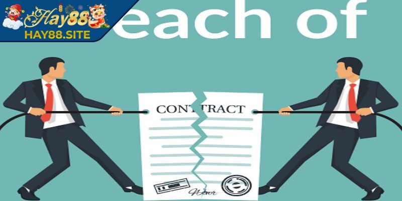 Tuân thủ quy định tạo môi trường minh bạch, công bằng